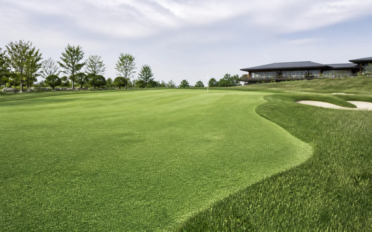 Golf Fairway Turf