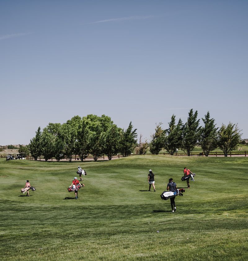 Golf Green Çimi